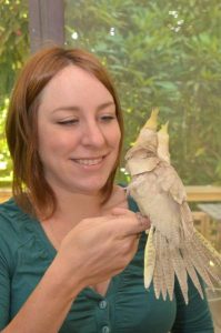 Fund rescues birds in crisis