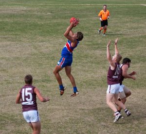 Gembrook bounces back