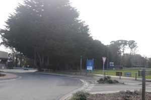 Last resort trees