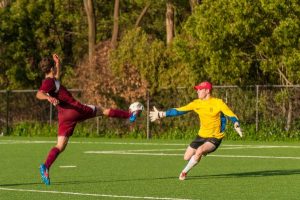 Mixed bag for Monbulk