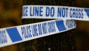 Four injured in school dog attack