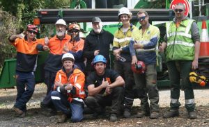 Tree plea: charity overflows