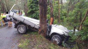 P-plater’s ‘lucky’ tangle with tree