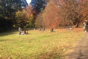 Day to treasure gardens
