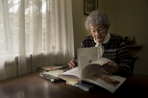 A story of the Dandenongs