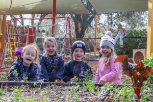 Harvest for health