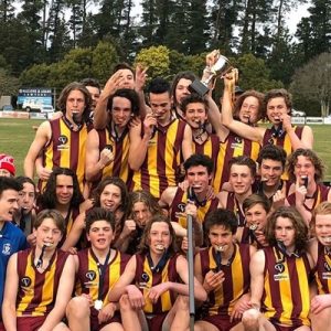 Hawks are Premiers