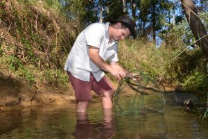 Swap those yabby nets