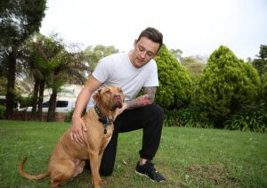 A therapy dog named Diesel