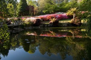 Garden pledge