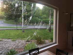 Vicious attack on new Ferny Creek restaurant