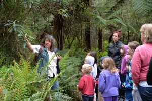 Call to all Junior Rangers