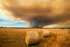 Fires threaten Gembrook