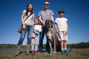 Big dog day out