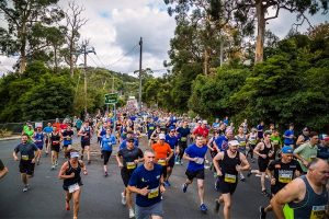 Train race is on track