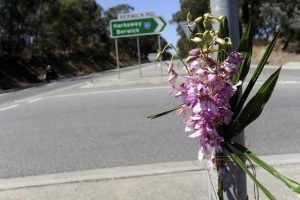 Funding for Wellington road
