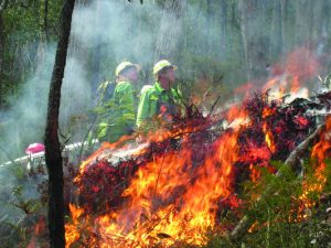 Planned burn for Dandenongs