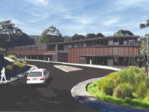 Developing the Dandenongs