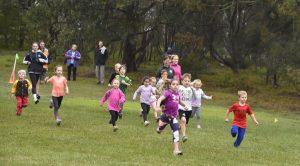 Cross country fun in the sun