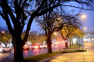 Lilydale needs a heart