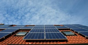 Yarra Ranges declares climate emergency