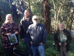 Wandering trad days numbered
