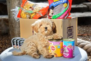 Don’t let their dogs go hungry