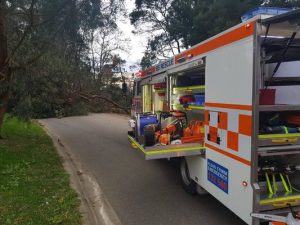 Wild, wet and windy: severe weather batters the Dandenongs