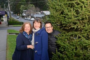 Support for Sassafras survey