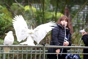 Hold your loved ones close, because bird feeding at Grants Picnic Ground stops next week