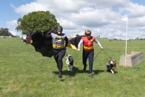 Discovery Dog – An Amazing Race