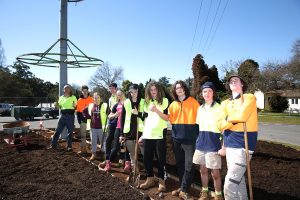 Refreshing roundabout revegetation