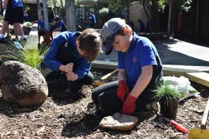 School’s big gardening grant