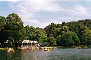 Have your say on Emerald Lake Precinct Strategic Plan