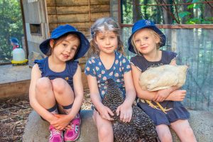Children love the chickens