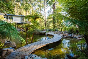 Billabong Falls open garden