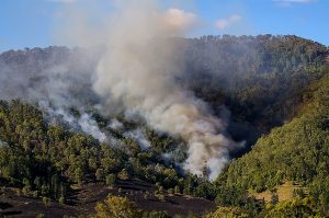 Fire Danger Period declared