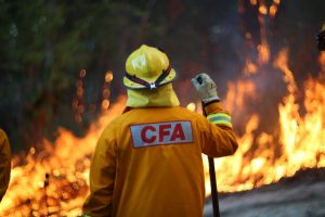 The value of planned burning