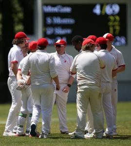 King of the jungle as McGowan tames Tigers