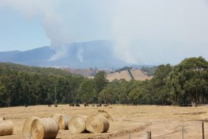 Preparing the farm for fire