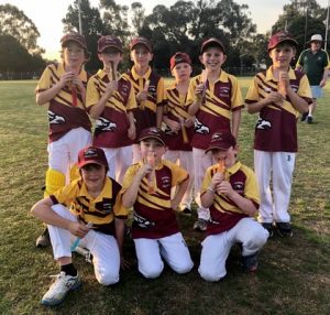 Monbulk Cricket Club results