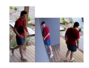 Police investigate Belgrave burglary