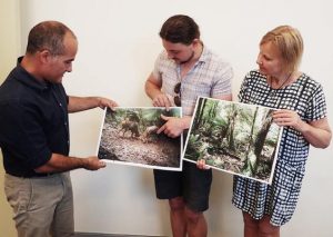 Groups call for deer action