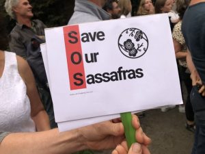 Community fights to preserve Green Wedge Zone