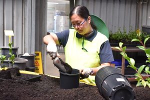 Growing employment opportunities