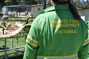 Smoky skies ahead from Silvan planned burn