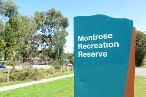 Community say on Montrose Recreation Reserve
