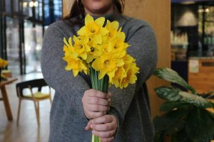 Donate this Daffodil Day