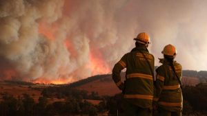 Call for project firefighters in Yarra Ranges