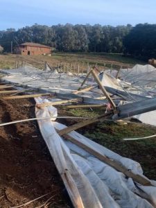 Storm leaves community spirit in its path
